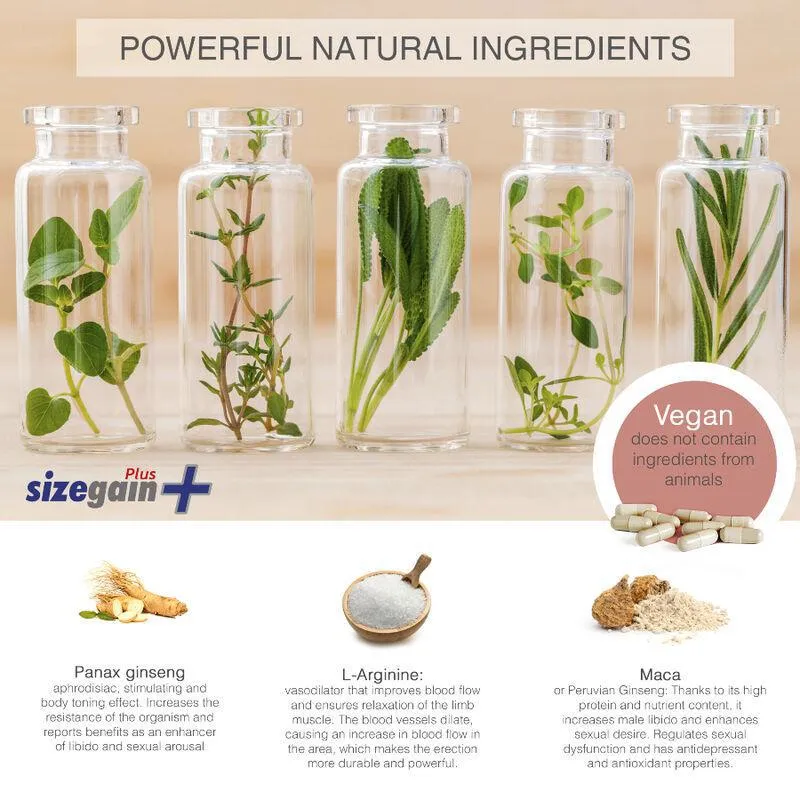 Complément Naturel Pour Agrandissement Pénis - Image 2