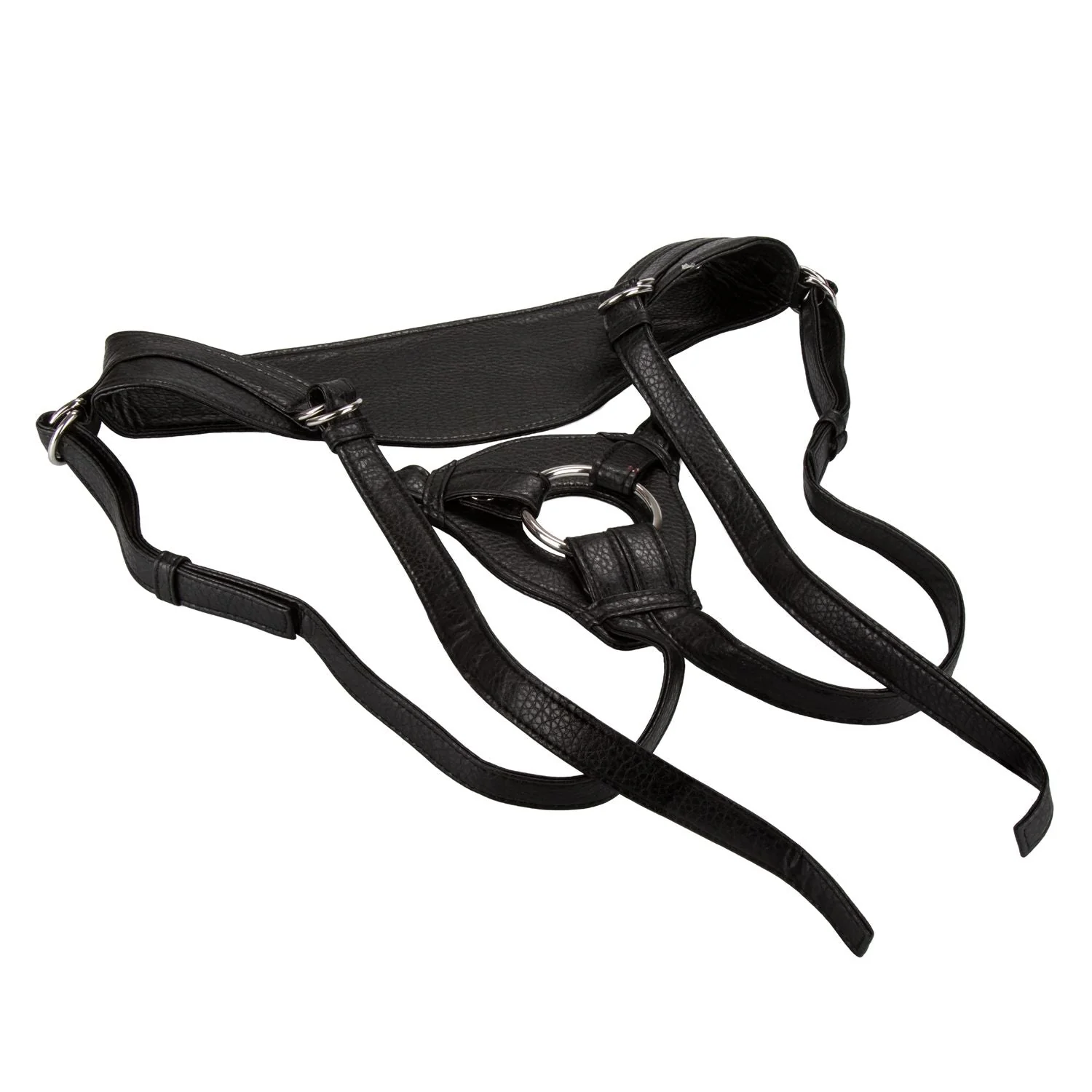 Her Royal Harness The Queen - Image 2