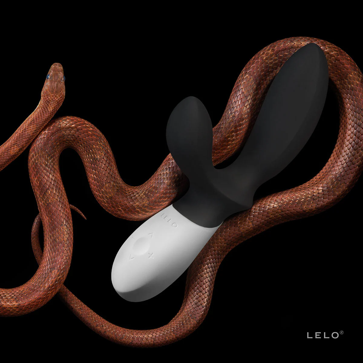 Loki Wave - Image 5