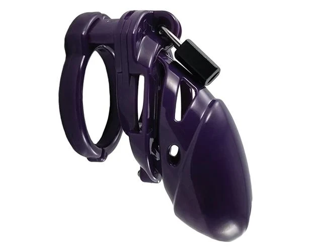 The Vice Plus - Image 4