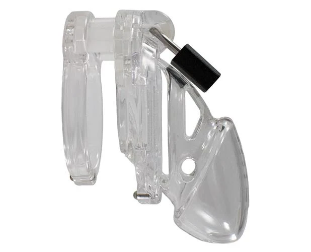 The Vice Standard - Image 2