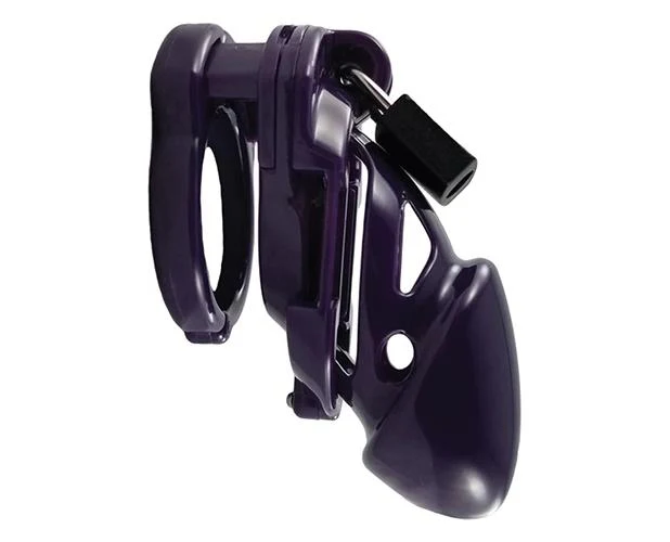 The Vice Standard - Image 4